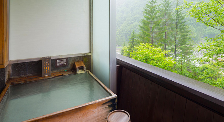 Japanese-style room with open air bath