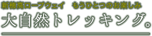 大自然トレッキング